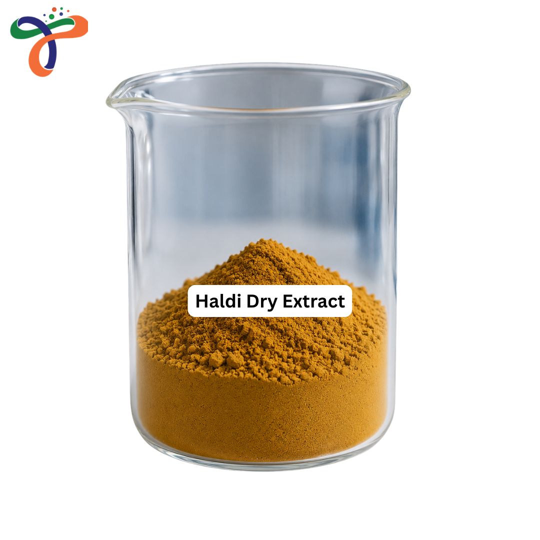 Haldi Dry Extract